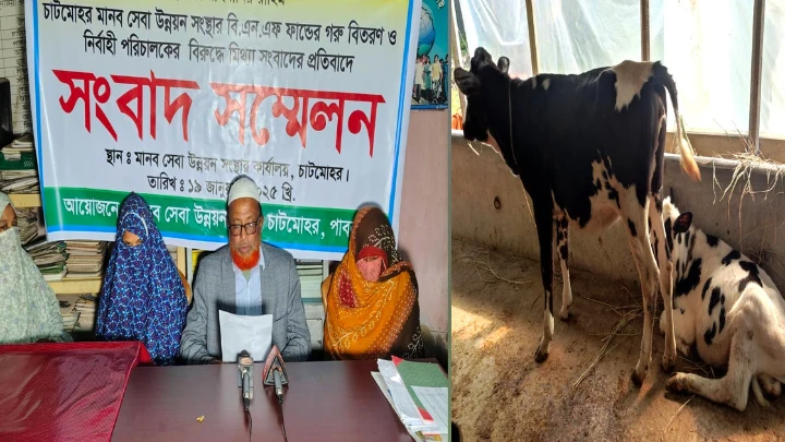 অবশেষে আলোচিত সেই এনজিও থেকে বাছুর বুঝে পেলেন দশ নারী ছবি: সংগৃহীত